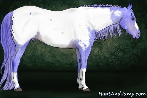 Horse Color: Watercolor Brown Snowcap 
