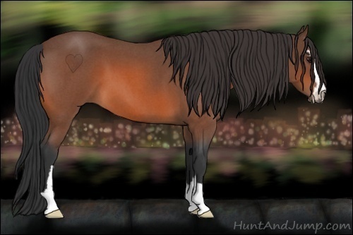 Horse Color: Bay Roan Sabino 
