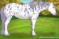 Horse Color:Watercolor Black Splash Near Leopard 