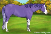 Horse Color:Watercolor Bay Splash