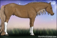 Horse Color:Chocolate Palomino 