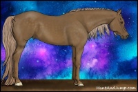 Horse Color:Chocolate Palomino 