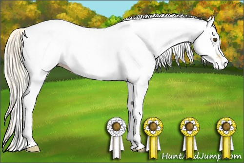 Horse Color: White Spotted Palomino Dun 