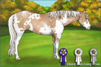 Horse Color:White Spotted Silver Black Pearl Sabino