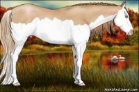 Horse Color:Chestnut Pearl Splash