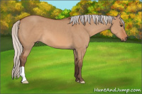 Horse Color:Silver Bay Dun 