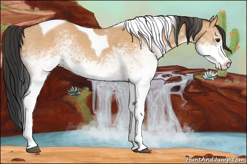 Horse Color: White Spotted Bay Dun Tobiano 