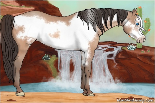 Horse Color: Amber Champagne Frame 