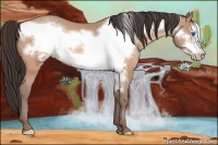 Horse Color:Amber Champagne Frame 