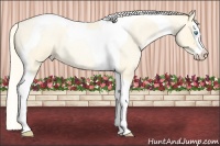 Horse Color:Palomino Roan Pearl Dun Splash Tobiano Rabicano 