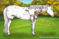 Horse Color:Silver Black Sabino
