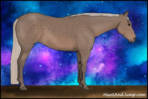 Horse Color: Silver Brown Sabino 