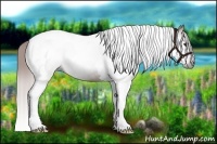 Horse Color:Gray Chestnut Tobiano