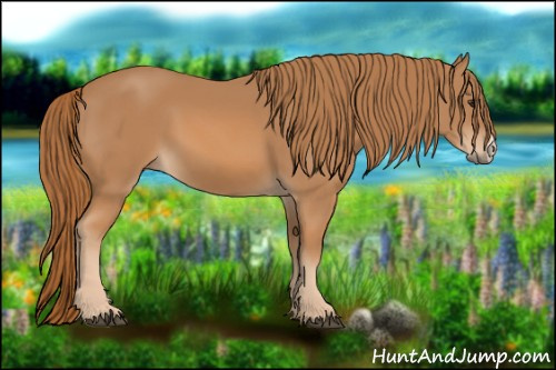 Horse Color: Chestnut 