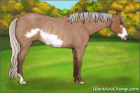 Horse Color:Silver Bay Roan Frame Rabicano 
