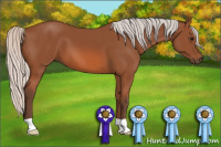 Horse Color:Silver Bay 