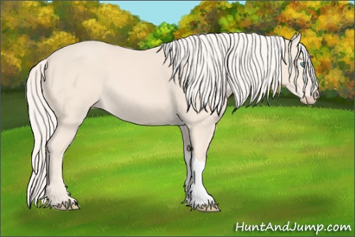 Horse Color: Cremello 
