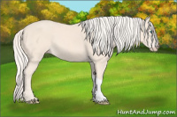 Horse Color:Cremello 