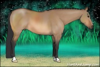 Horse Color:Bay Dun