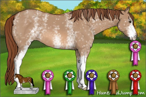 Horse Color: White Spotted Liver Red Dun 