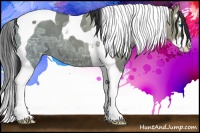 Horse Color:Grullo Ice Splash Tobiano 