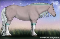 Horse Color:Watercolor Silver Buckskin 
