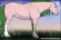 Horse Color:Watercolor Amber Cream Champagne Dun 