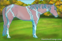 Horse Color:Thunderstruck Watercolor Perlino 