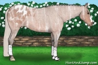 Horse Color:Silver Bay Ice Roan Blanket 