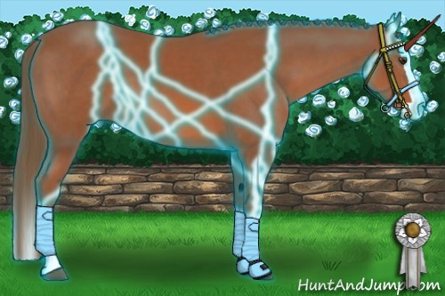 Horse Color: Thunderstruck Liver Chestnut Splash 