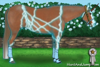 Horse Color:Thunderstruck Liver Chestnut Splash 