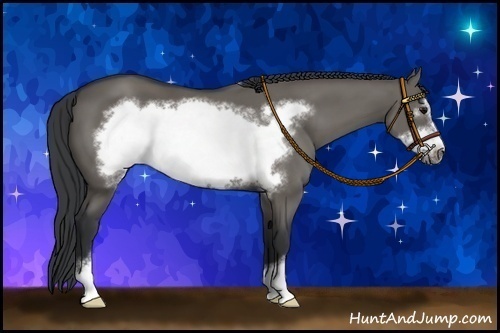 Horse Color: Unknown 