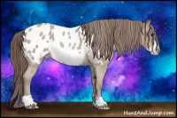 Horse Color:Classic Champagne Roan Frame Appaloosa Rabicano 