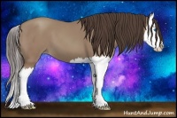 Horse Color:Classic Champagne Splash 