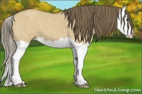 Horse Color:Classic Cream Champagne Dun Splash 