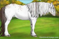 Horse Color:White Spotted Sable Champagne Dun