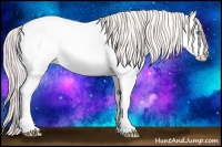 Horse Color:White Spotted Smoky Creme Dun 