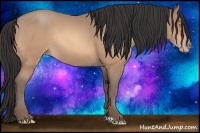 Horse Color:Amber Champagne Rabicano 
