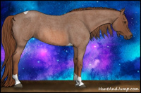 Horse Color:Red Roan Tobiano 