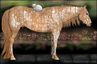 Horse Color:White Spotted Liver Chestnut Frame  Brindle