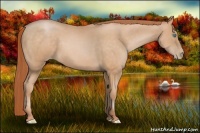 Horse Color:Buckskin Pearl 