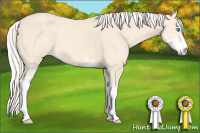 Horse Color:Cremello Sabino
