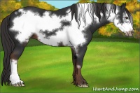 Horse Color:Liver Chestnut Frame 