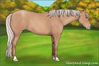 Horse Color:Silver Sable Champagne 