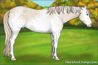 Horse Color:White Spotted Smoky Creme 
