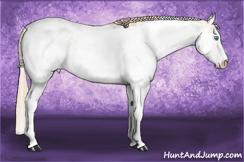 Horse Color: Smoky Creme Dun Sabino 