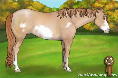 Horse Color: Chestnut Pearl Frame 