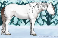 Horse Color:Gray Chestnut Splash Tobiano 