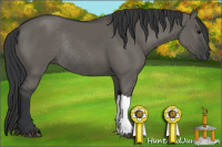 Horse Color:Grullo Rabicano 