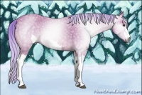 Horse Color:Gray Watercolor Palomino 